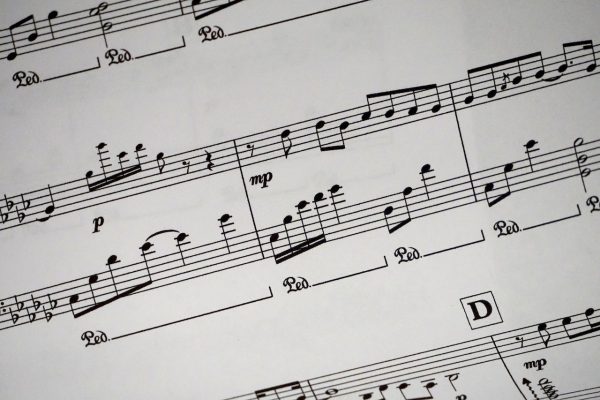 Accordion - 120 Bass